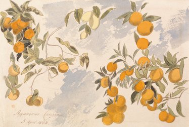 Edward Lear, Fruit trees, 1863. Yale Center for British Art.