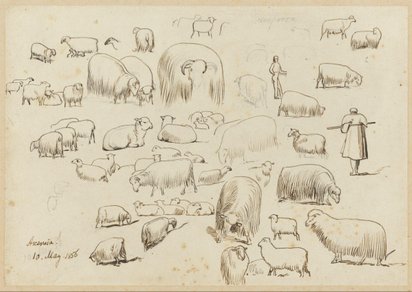 Studies of sheep, Ascension [Análipsi, Corfu], 10 May 1856. Houghton Library.